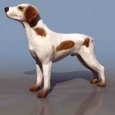 Dog 3d Model 3ds 3dm Dog Modeling Dogs 3d Dog
