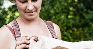 Vertrauen wächst aus der Begegnung