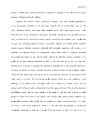 Argumentative Essay
