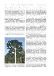 Image result for Newtonia buchananii