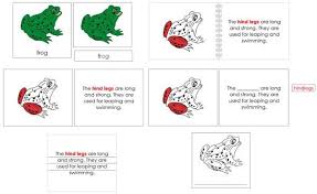 Frog Definition Set Red Definitions Sentence Strips Preschool Worksheets
