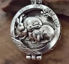 Pet food & supplies at chewy. Bunny Rabbit Locket Bunny Rabbit Urn Keepsake Memorial Urn Etsy Urn Jewelry Cremation Jewelry Urn Necklaces