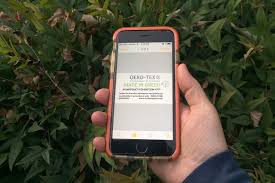 Four Hidden Ios App Tricks You Didn T Know About Digital Trends In 2020 Blackberry Phone Apple Ios Ios
