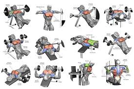 Basic Exercises For Chest Muscle Workout In 2020 Best Chest Workout Chest Workouts Chest Workout