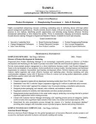 Executive Product Development Marketing Resume Marketing Resume Project Manager Resume Executive Resume