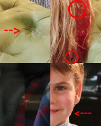 Dr. Joan E. Beaudoin (@joanebeaudoin)