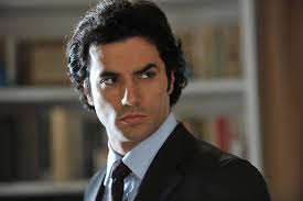 A Hidden Fire “Dream Cast”