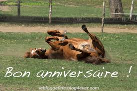 De notre côté nous avons fêté ça comme il se doit avec une semaine riche en émotions : E Carte E Cadeau Gratuits Bon Anniversaire Cheval Sur Le Dos Le Blog Des Fans De Poneys Et De Chevaux