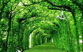 Terdapat juga wahana permainan flying fox ataupun wall climbing. Terkeren 21 Wallpaper Alam Sejuk Wallpaper Pemandangan Alam 67 Pictures Inspirasi Background Wallpaper Dinding Untuk Menc Pemandangan Wallpaper Alam Lanskap