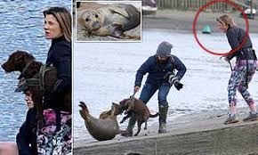 The sad news broke after vets at the south essex wildlife hospital battled for hours to save the celebrity pinniped's life. M7mgzxzk3jpecm