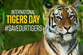 The agreement was about raising awareness about the decreasing tiger population globally and preserving the natural habitat of tigers. Msd 3lfdi4w5wm