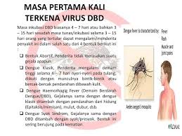 Gejala demam berdarah dengue, demam dengue atau yang dikenal secara umum oleh masyarakat indonesia sebagai demam berdarah merupakan penyakit yang dapat membuat suhu tubuh penderita menjadi sangat tinggi dan pada umumnya disertai sakit kepala, nyeri sendi, otot, dan. Demam Berdarah Dengue Dbd Ppt Download