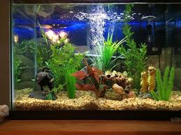 Decorative Artificial Aquarium Plants Artificial Plants Artificial Aquarium Plants Artificial Plants Outdoor