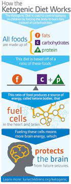 Pin By Mallory West On Ketogenic Diet And Epilepsy Epilepsy Diet Ketogenic Ketogenic Diet Recipes