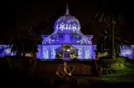 Illuminate Sf Festival Of Light Happens Thanksgiving 2019 Through New Year S Day 2020 And Shines A Light On San F Festival Lights Light Sculpture Illuminations