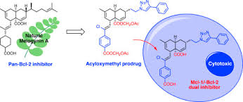 Image result for BCL2 Inhibitor