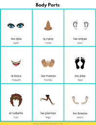Pin On Guide De Espanol
