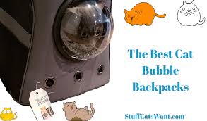 What is a cat backpack? 11 Best Cat Bubble Backpacks 2021 Fly To The Moon