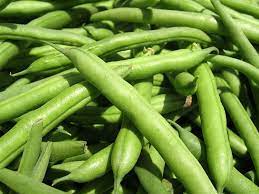 Eat Raw Green Beans For A Wide Array Of Nutrients V Art Of Wellness