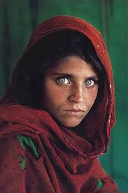 Steve McCurry Paintings & Artwork for Sale