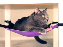 Measure the chair and cut two squares of fabric to the size needed. Cat Crib Hammock Lounger Youtube