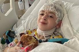 Fundraiser by Kathryn Fox : Help Kathryn and Noah Reclaim Their Stability