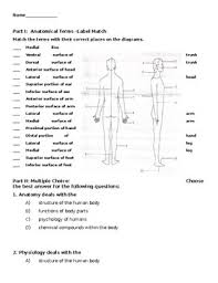 Body language do things like keeping themselves and their relationships she has a free worksheet on the anatomy of a fight on her website learn more at. Anatomical Terminology Worksheets Teaching Resources Tpt