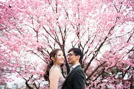 Head To The Cherry Blossom Festival In Shillong This November For The Pre Wedding Shoot Of Your Dreams Weddingsutra Blog