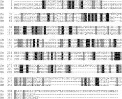 Ulasan berikut ini adalah informasi tentang rpp kelas rangkap model 221 kelas 2 dan 3 yang admin kumpulan dari berbagi sumber agar nantinya bisa bapakibu gunakan dan diunduh secara gratis dengan menekan. Drosophila Mitochondrial Transcription Factor B2 Regulates Mitochondrial Dna Copy Number And Transcription In Schneider Cells Journal Of Biological Chemistry