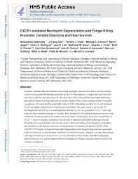 This archival website is powered by pampa 5.1 and hosted by the office of population research at princeton university. Pdf Cxcr1 Mediated Neutrophil Degranulation And Fungal Killing Promotes Candida Clearance And Host Survival