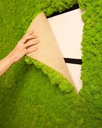 Mooswand Aus Islandmoos Im Greenbop Online Shop Kaufen In 2020 Mooswand Grune Wande Und Island Moos