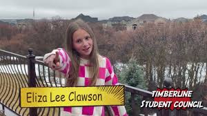 Eliza Lee Clawson