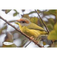 Fernando Rosado (@ospreytoursmexico) • Instagram photos and videos