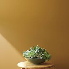 It also has a slight green undertone to it. The 11 Best Tan Colors For Any Neutral Home