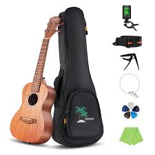 Why are they important to know? Ammoon 23 In Inch Uke Acoustic Concert Ukulele Mahogany Wood Portable Compact Size With Carved Musical Scale Chord Chart Carry Bag Musical Instruments Ukuleles Mandolins Banjos Brilliantpala Org