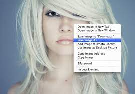 How To Protect Your Website From Image Theft | Graph Paper Press