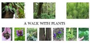 A Walk With Plants