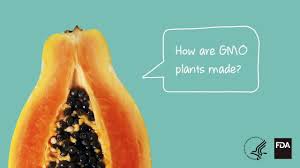 Crop, resize, compress, convert, and more in just a few clicks! Science And History Of Gmos And Other Food Modification Processes Fda