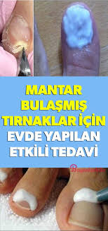 Faydali Bilgiler Panosundaki Pin