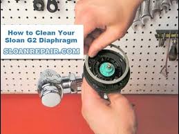 g2 diaphragm cleaning