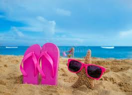 We did not find results for: 140 Girls Flip Flops Photos Free Royalty Free Stock Photos From Dreamstime