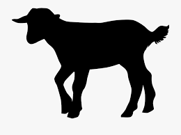Download Clipart Cartoon Baby Goat