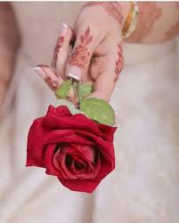 Follow For More Jjameel456 Flowers For You Rose Gift Beautiful Roses