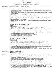 The senior healthcare m&a financial analyst is responsible for the financial analysis of both large and small international and domestic acquisitions to include modeling results and returns to assist in making investment / divestiture decisions. Senior Finance Analyst Finance Resume Samples Velvet Jobs