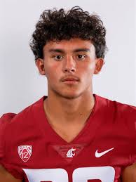 Washington State Cougars 2024 College Football Transfer Portal Latest  Activity