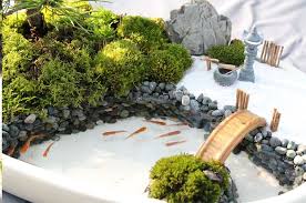 japan in motion 取材報告 苔の庭 日本庭園 インドアガーデニング