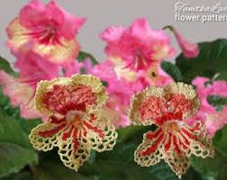 Image result for Streptocarpus leptopus