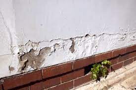 8 Simple Tips To Correct Exterior Peeling Paint