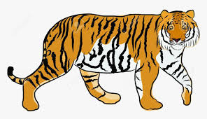 Maybe you would like to learn more about one of these? Tiger Cartoon Clipart Niml Jungle Free Cliparts Transparent Hand Drawn Picture Of A Tiger Hd Png Download Transparent Png Image Pngitem