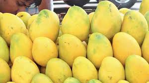 Sale up to 50% off. 5 Incredible Health Benefits Of Mango And Why You Must Have It This Summer